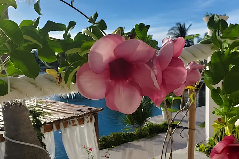 Casa La Torre, Luxury private waterfront villa